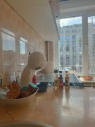 Metro Ultracentral Retreat