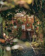 Top San José de Suaita