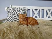 Top Uhldingen-Mühlhofen