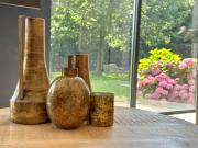 Top Rijsbergen Top Rijsbergen