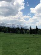 Rooms Hotel Kokhta Apartments