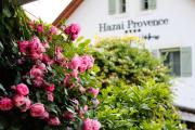 Hazai Provence