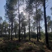 Top Argelès-sur-Mer