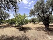 Casa Napais Earth Retreat