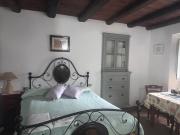 Top Roggio Top Roggio