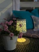 Top Ostrowo Top Ostrowo