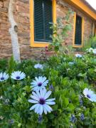 Top Torre de Moncorvo