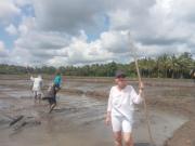 Alankulama Waana Resort