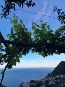 Top Positano
