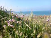Les Falaises, en plein cœur de Binic