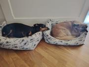 In Piazzetta - Cernobbio