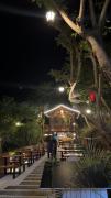 Top Kasauli