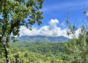 Top Gatlinburg Top Gatlinburg