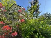 ALBERGO DEL PESCATORE