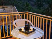 Top Kasauli