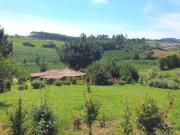 Top Vimeiro