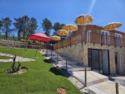 Top Parada Top Parada