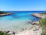 Top Taranto