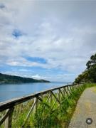 Casa Martorell Ferrol