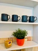 Top Gdańsk Top Gdańsk