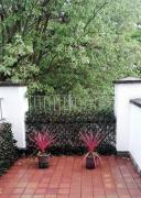 Top Derry Londonderry