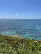 Dezassete - Ericeira