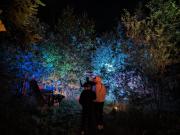 Top Gräfenhainichen