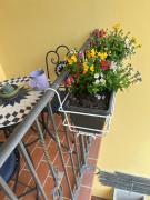 Top Santo Stefano di Magra