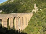 Top Spoleto