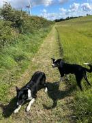 quiet secluded loft in County Durham