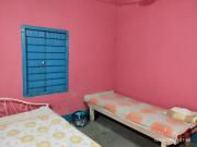 Bora Rent House