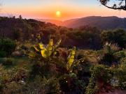 Cefalù Forest Hideout