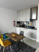 Top São Vicente Ferreira