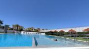 Top Torrox