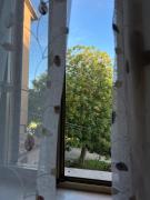 Top Orvieto Scalo Top Orvieto Scalo