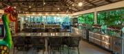 Top Daintree