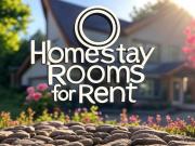 Bora Rent House