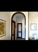 Top Isola della Malva