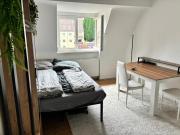 Loft near the Castle, Private Room - shared spaces and bathroom