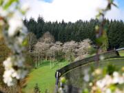 Top Bad Peterstal-Griesbach