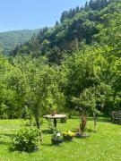 Apartament LashaGiorgi