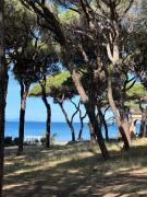 Top Follonica