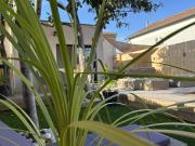 Top Carcassonne