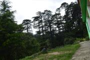 Top Khajjiar