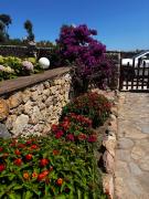 La casa di Veronica La casa di Veronica