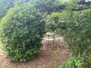 Top Villeneuve-lès-Avignon