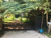 Kis ház az erdő mellett - Little house next to the forest