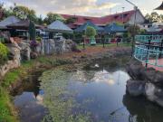 The falls hippo point