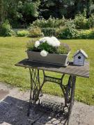 Chez Bertine Gîte rural 3 épis