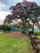 Top Itirapina